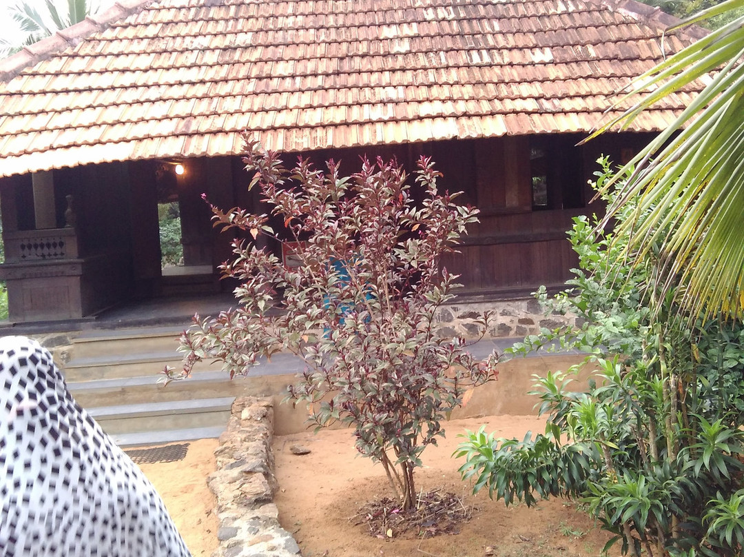 Cholamandal Artists' Village景点图片