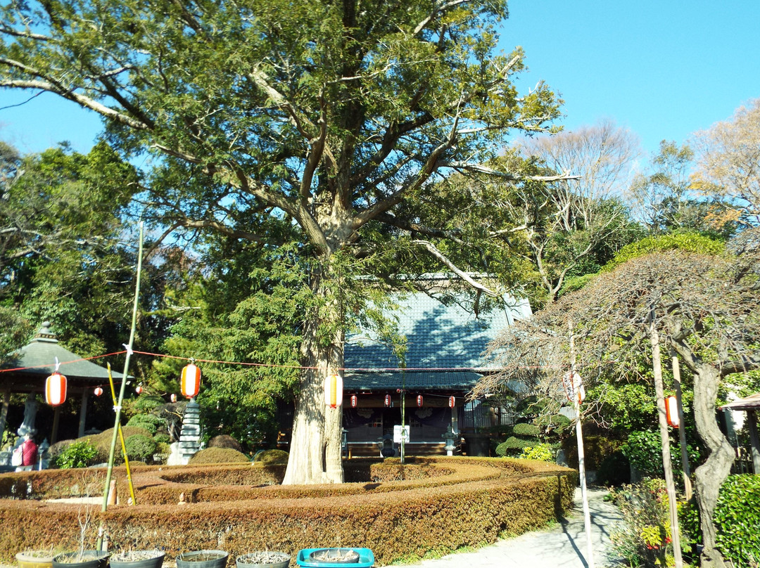 Saiko-ji Temple-二宫町必去景点