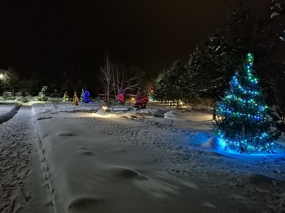 Rozhdestveno旅游攻略图片