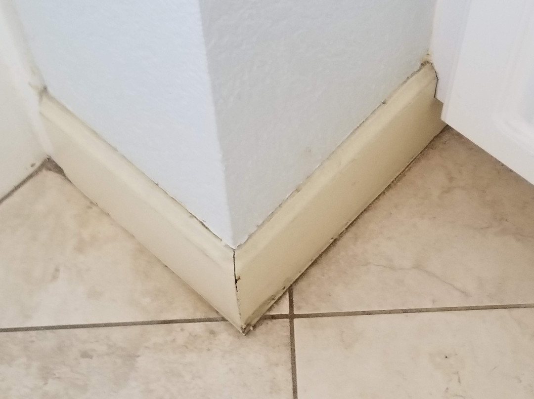 Anna Maria Island Dream Inn主图