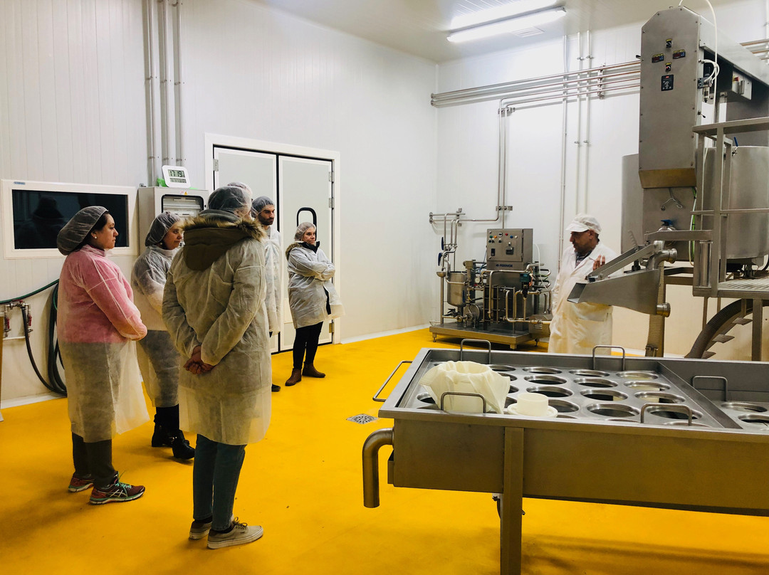 SelfieTour-Tomelloso必去景点