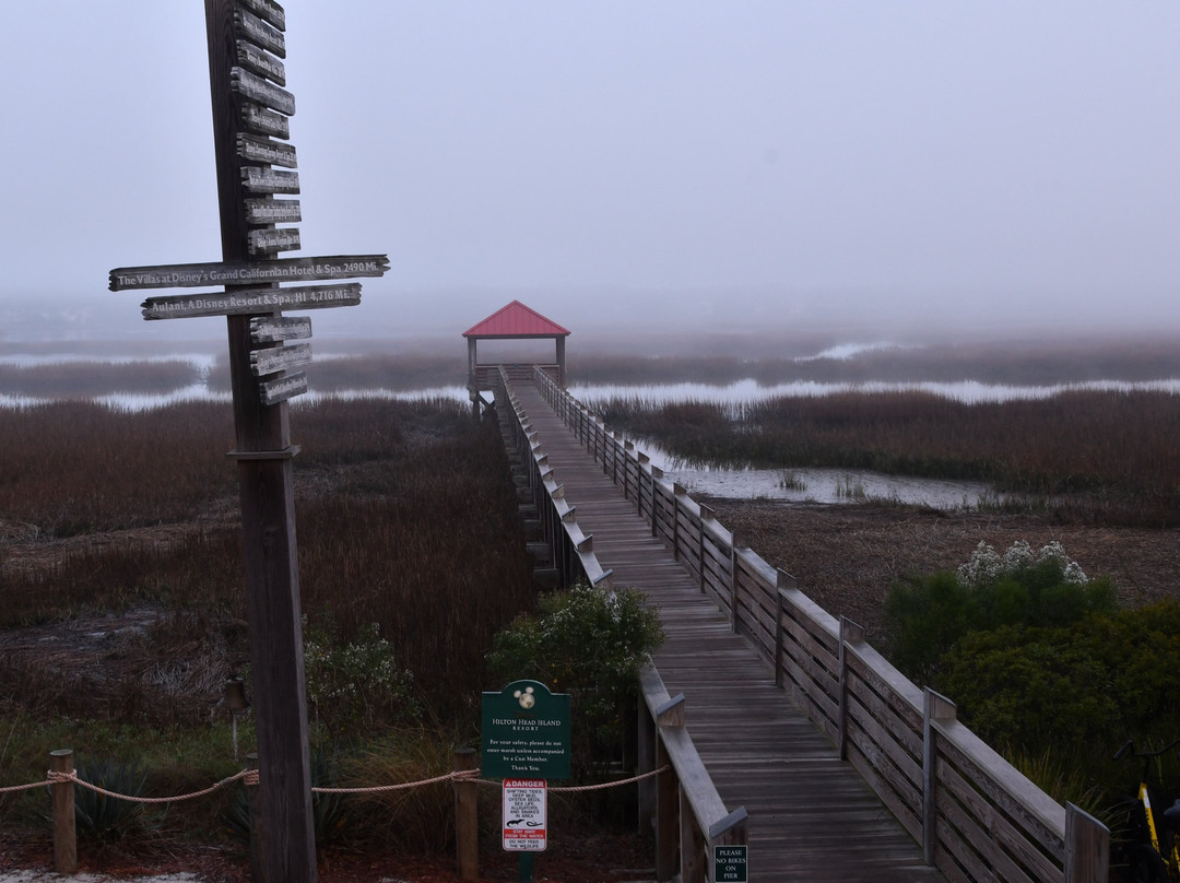 Disney's Hilton Head Island Resort主图