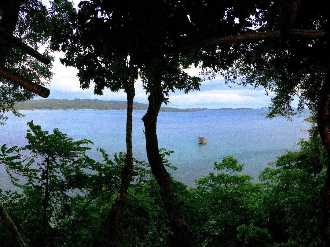 Nature's Eye Resort主图