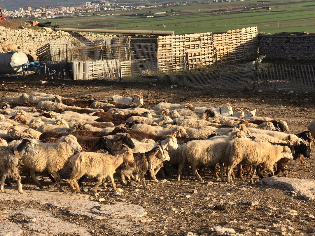 San Giovanni in Piano-Apricena必去景点