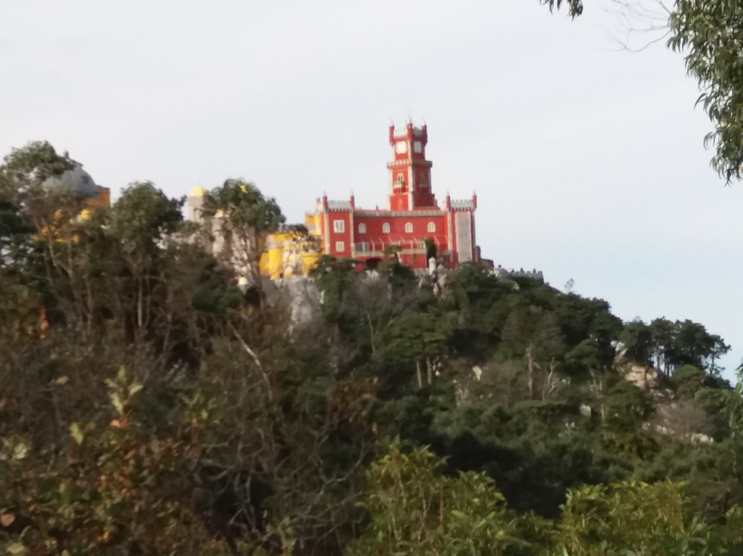 Linho旅游景点-Miradouro Santa Eufémia