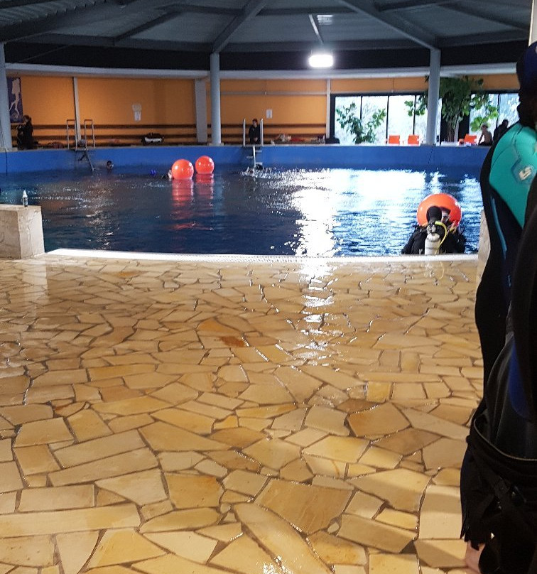 Dive4Life景点图片