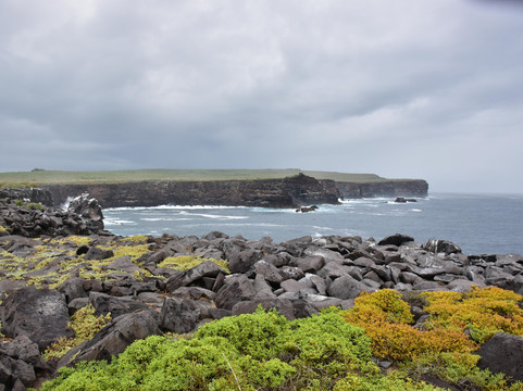 Ecuador Local Guide-基多必去景点