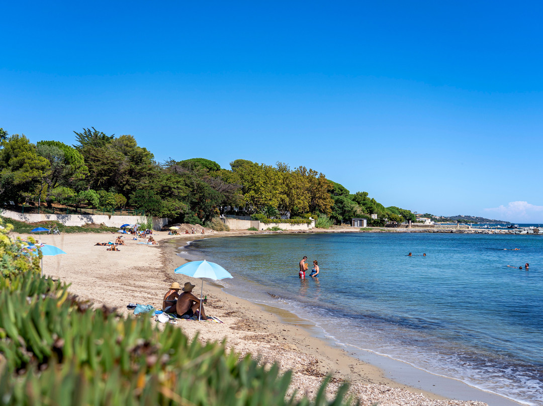 Plage de I'Anse du Vieux Moulin景点图片