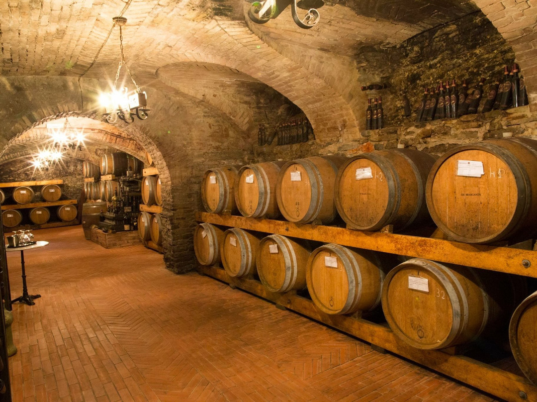 Cantine Macrì景点图片