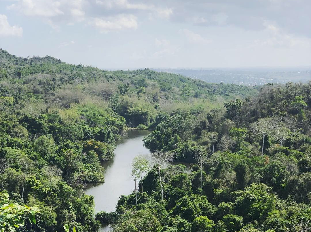 Pugu Hills Forest Reserve
