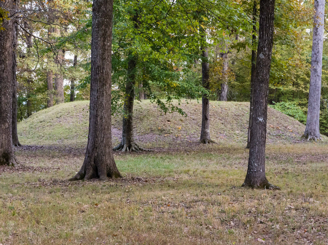 Shiloh Indian Mounds National Historic Landmark-Shiloh必去景点