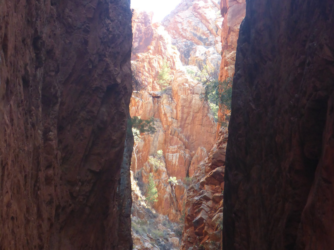 Standley Chasm Angkerle景点图片