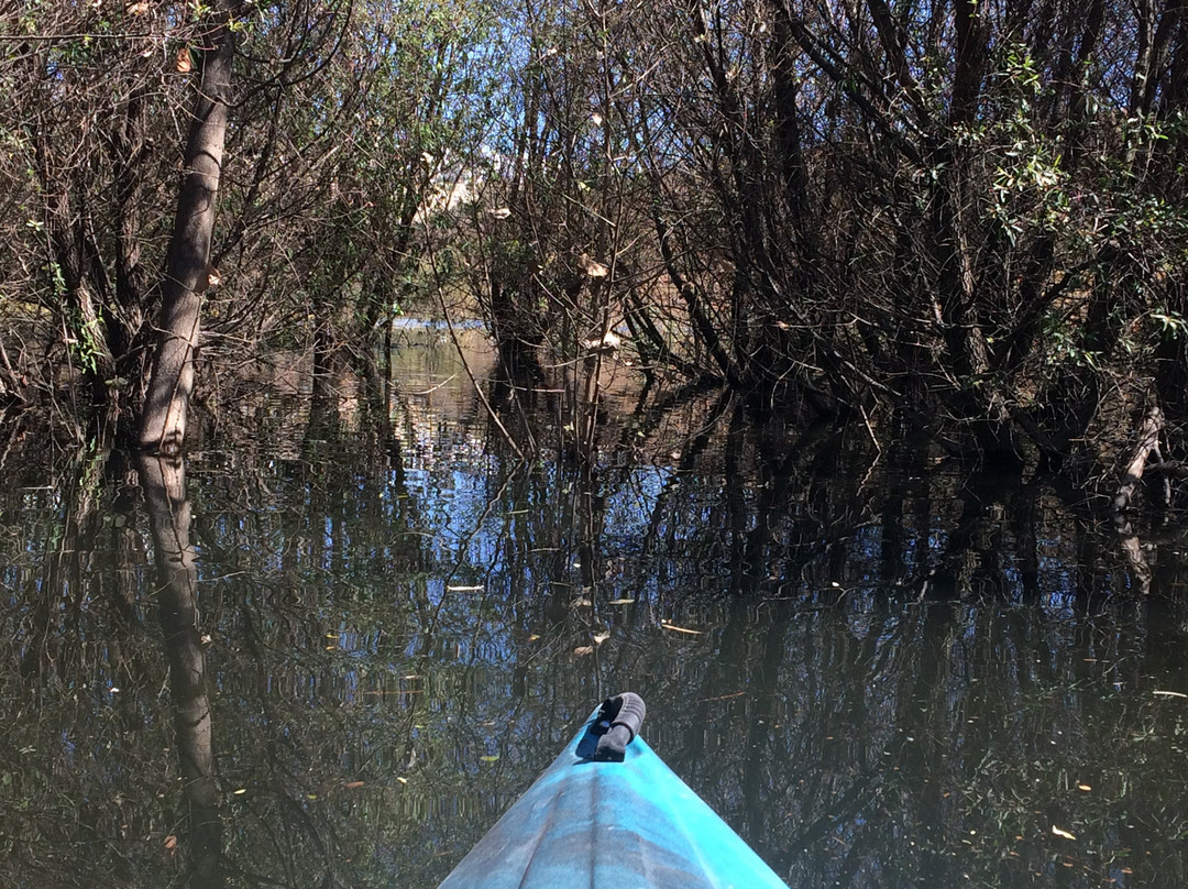 Kayak Center-Atizapan de Zaragoza必去景点