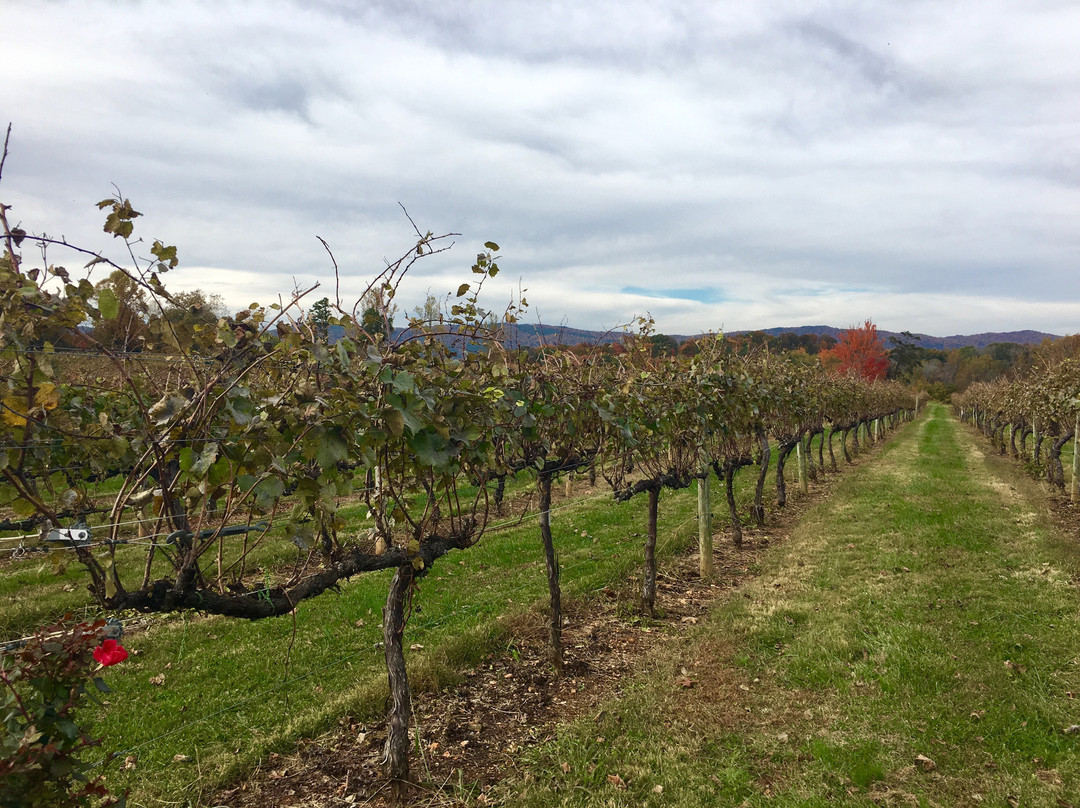 Spout Spring Estates Winery and Vineyard-Blaine必去景点