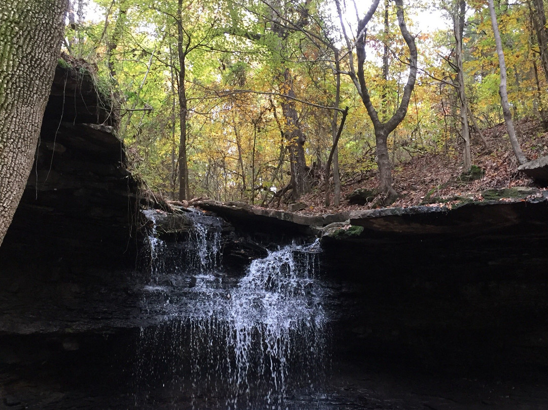 Lake Alma Hiking Trail-Alma必去景点
