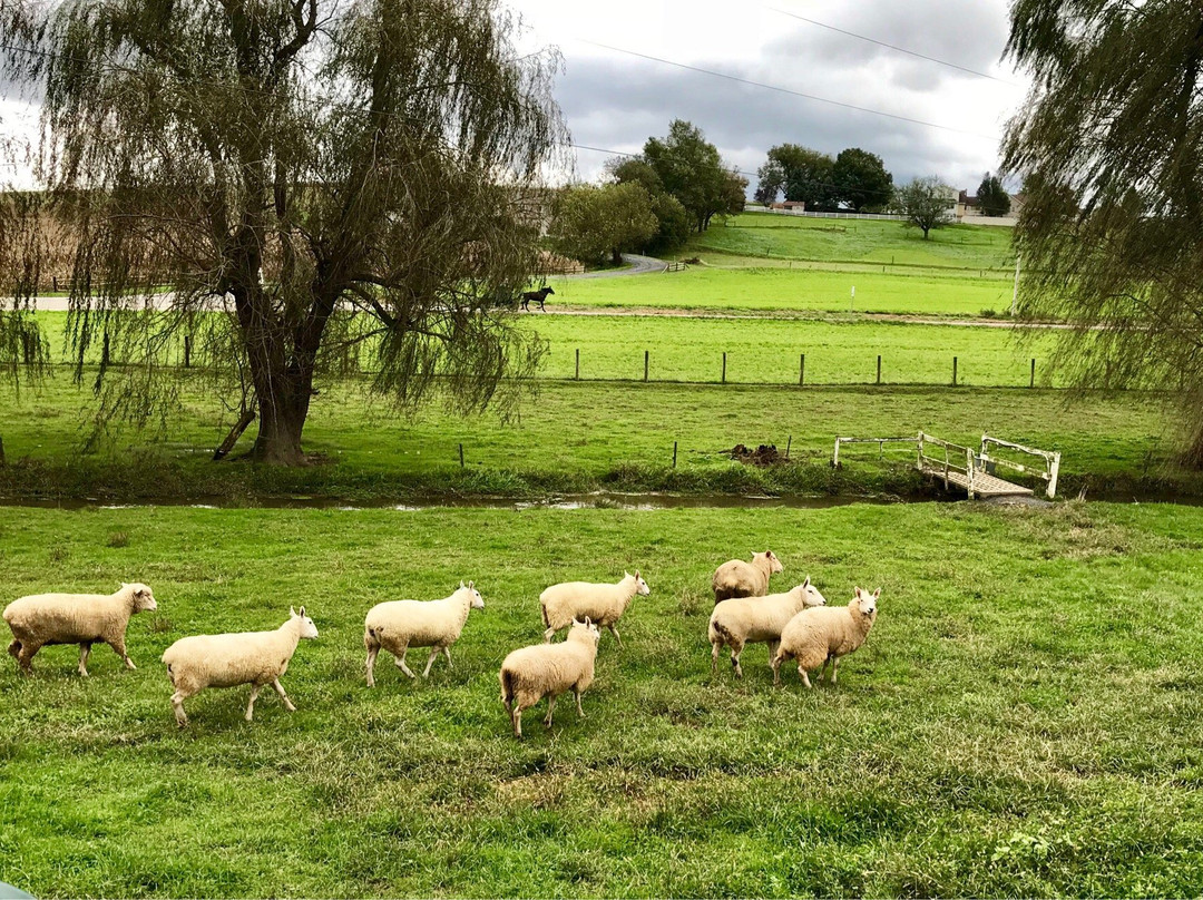 Beacon Hollow Farm Bed and Breakfast主图