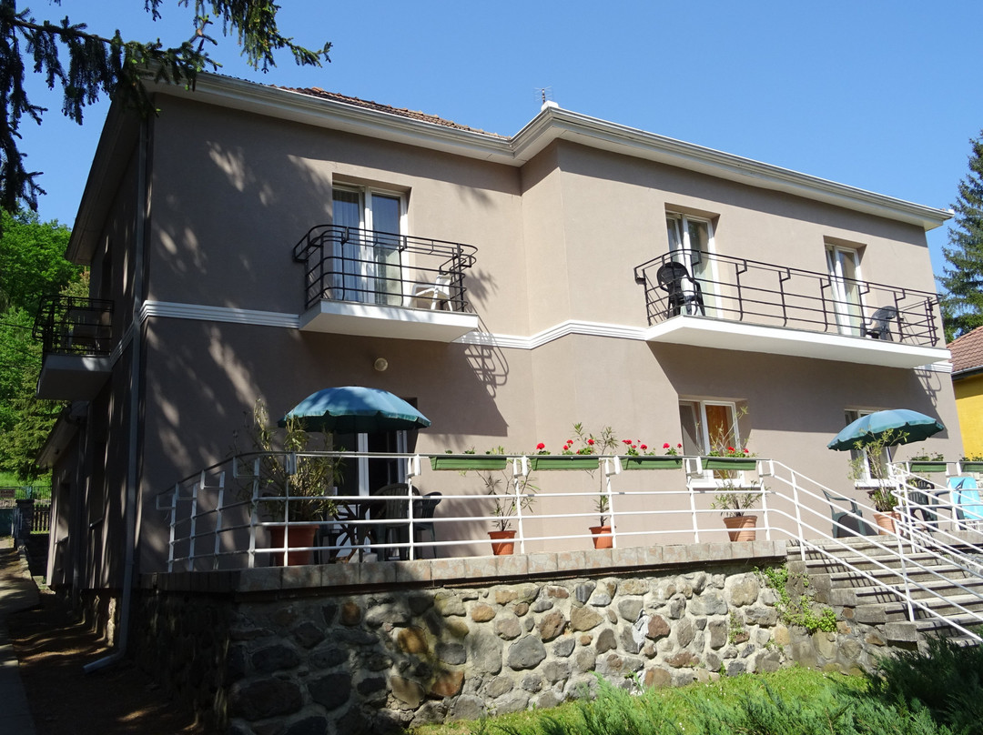 Boroka Minihotel主图