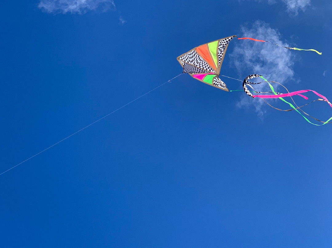 Kitty Hawk Kites景点图片