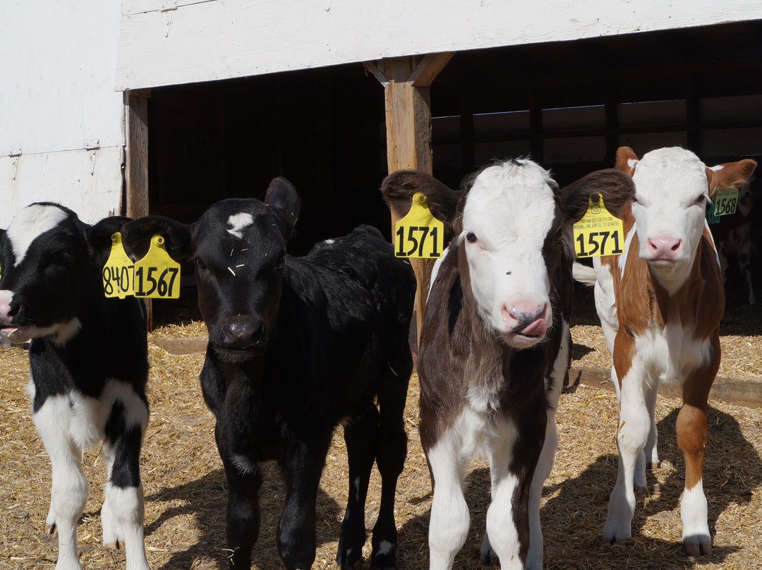 West Central Research & Outreach Center-Morris必去景点