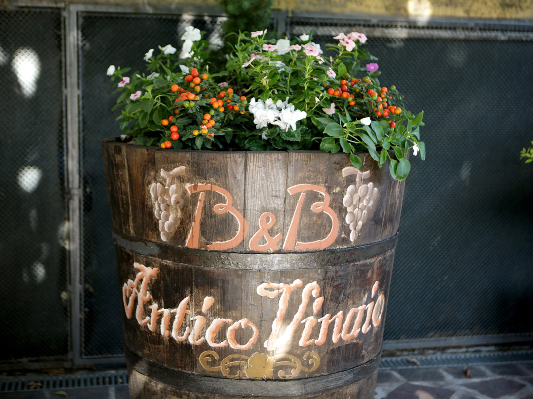 B&B Antico Vinaio主图