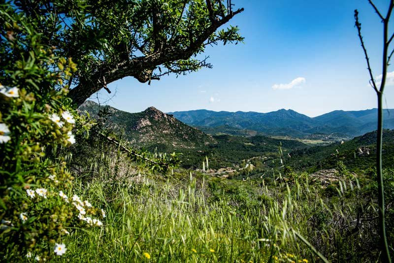 Do Donkey - Trekking con l'asino-Domus de Maria必去景点