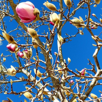 Iberguide-班纳玛德纳必去景点