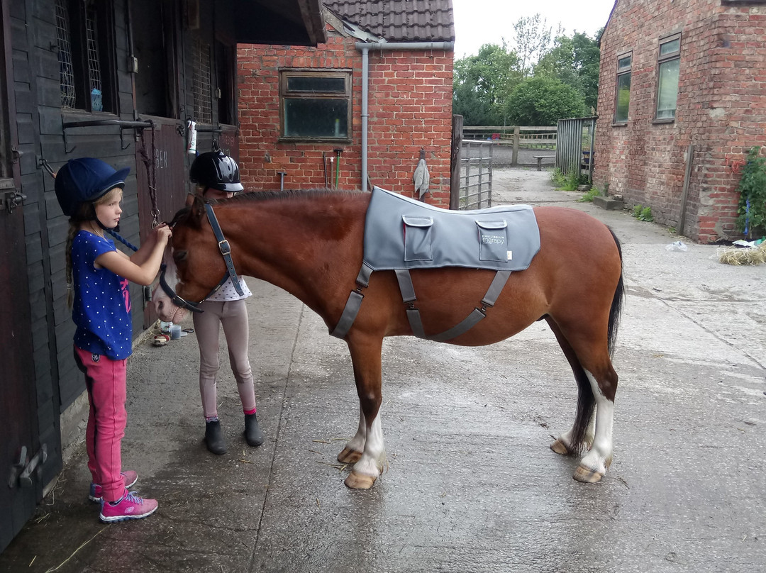Burnby Equestrian Centre-Pocklington必去景点