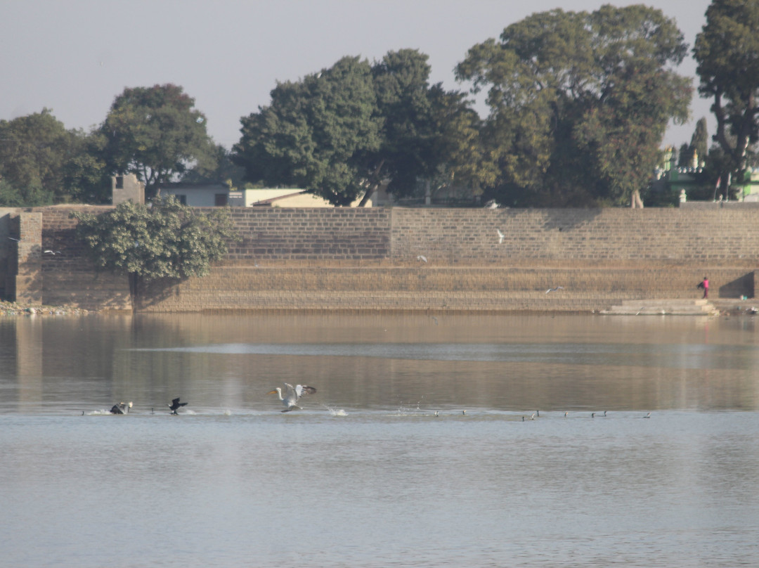 Hamirsar Lake景点图片