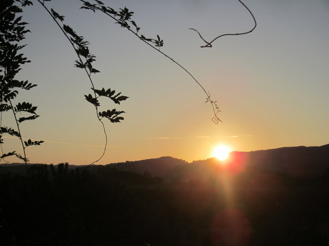Agriturismo Az. Agricola Ceralti