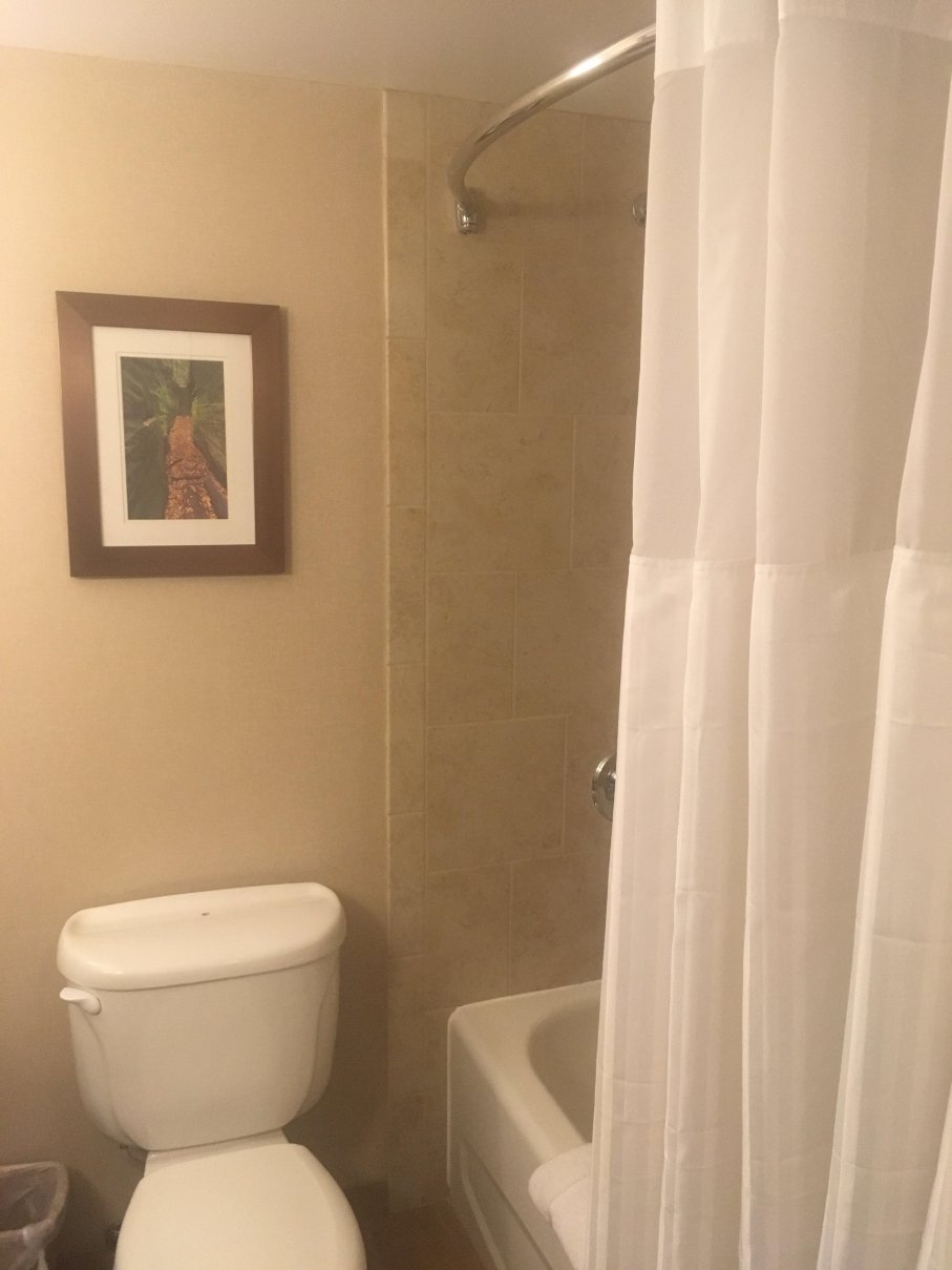 克里夫兰商业区希尔顿花园酒店-浴室