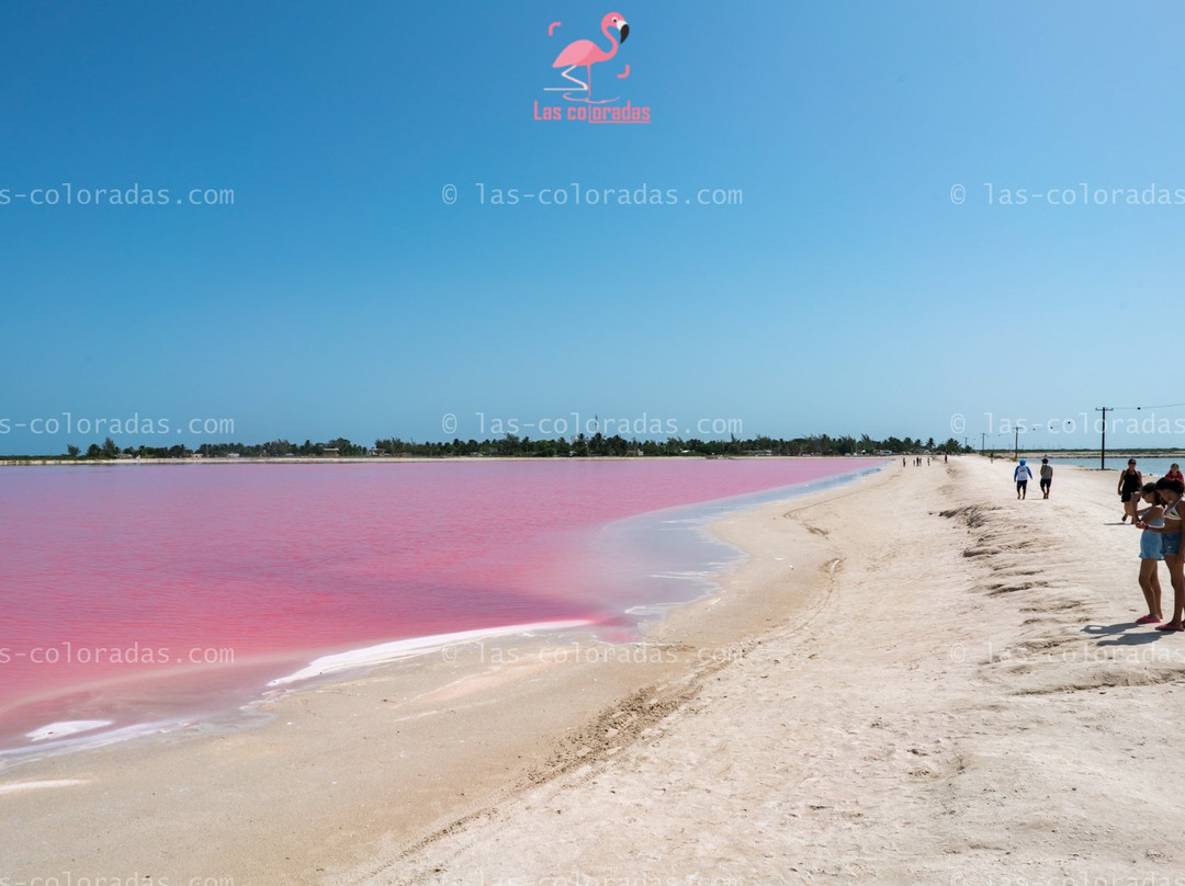 Las Coloradas Tours-普拉亚德尔卡曼必去景点