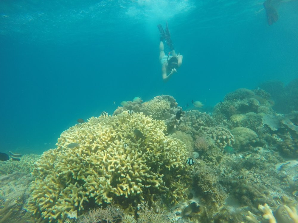 Batu Bolong Reef景点图片