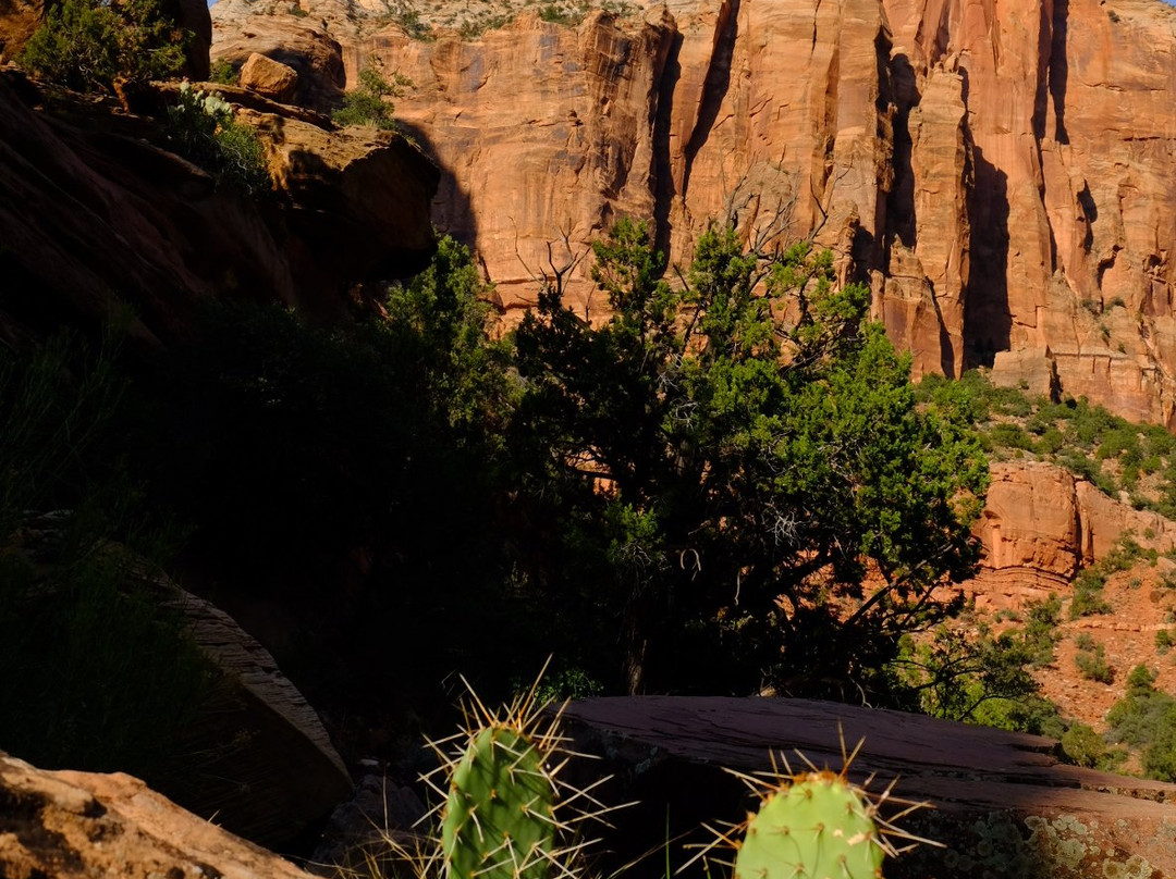 Lower Pine Creek Waterfall-斯普林代尔必去景点
