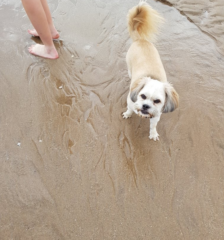 Anderby Creek Beach景点图片