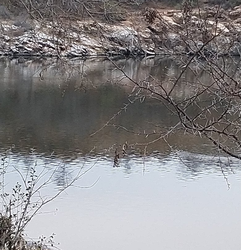 Goosebay Conference Centre主图