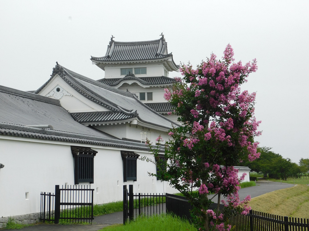 Chiba Sekiyado Castle Museum景点图片