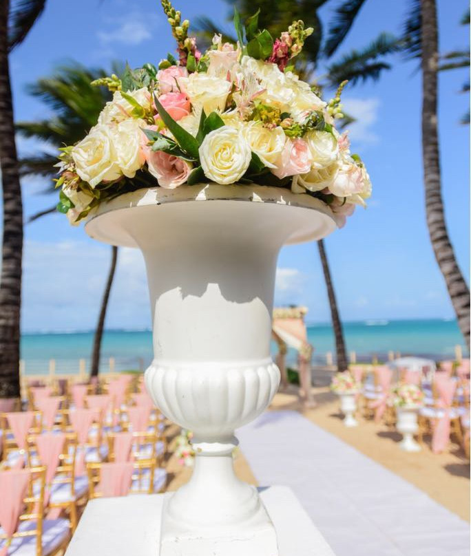 Silver Palm Spa And Resort主图