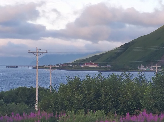 Kodiak Combos-Old Harbor必去景点