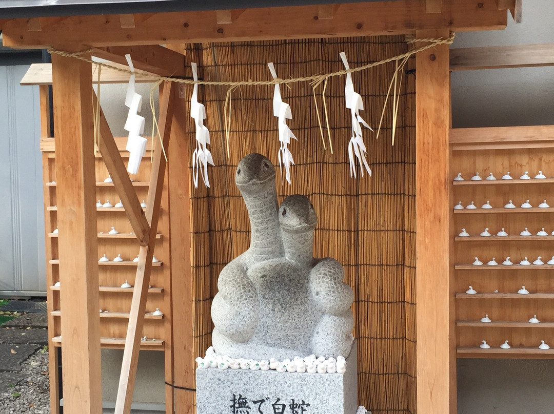 Hebikubo Shrine景点图片