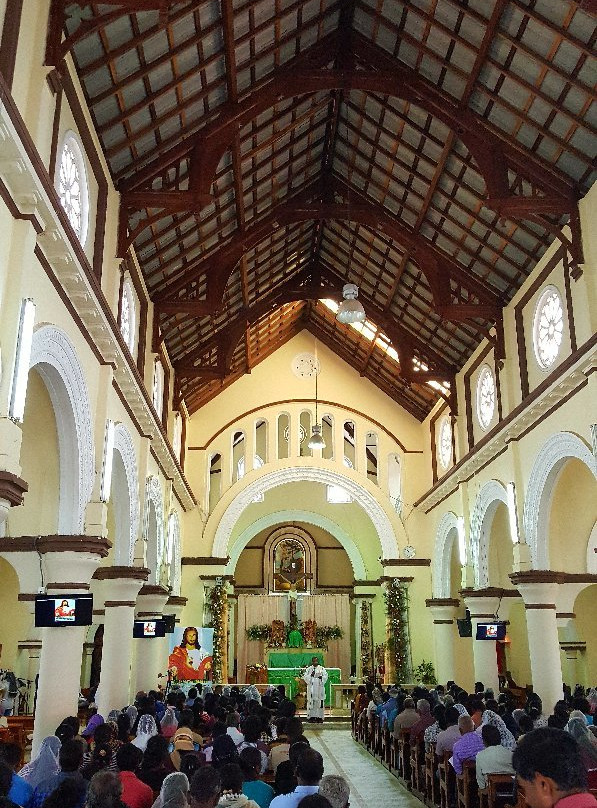 St Francis Xavier's church景点图片