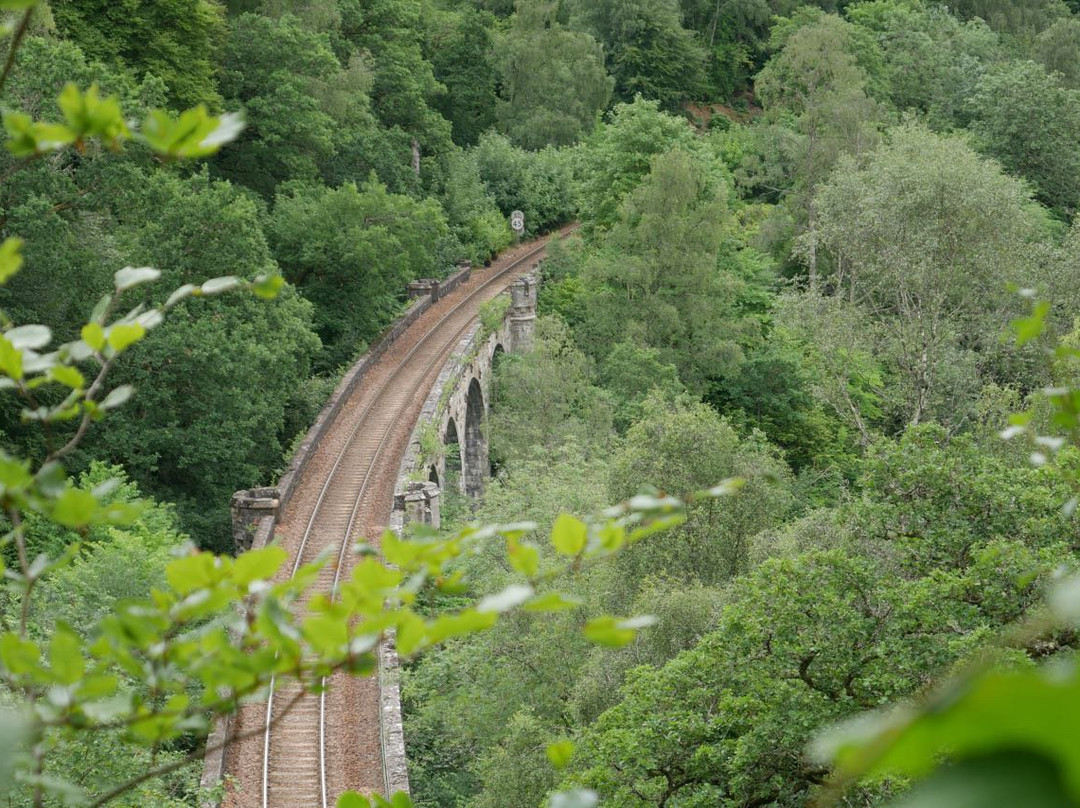 Killiecrankie Viaduct景点图片