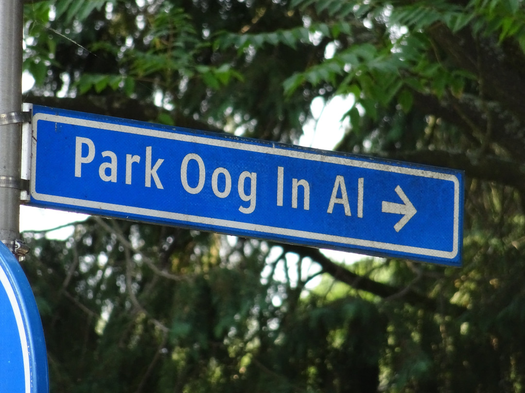 Park Oog in Al景点图片
