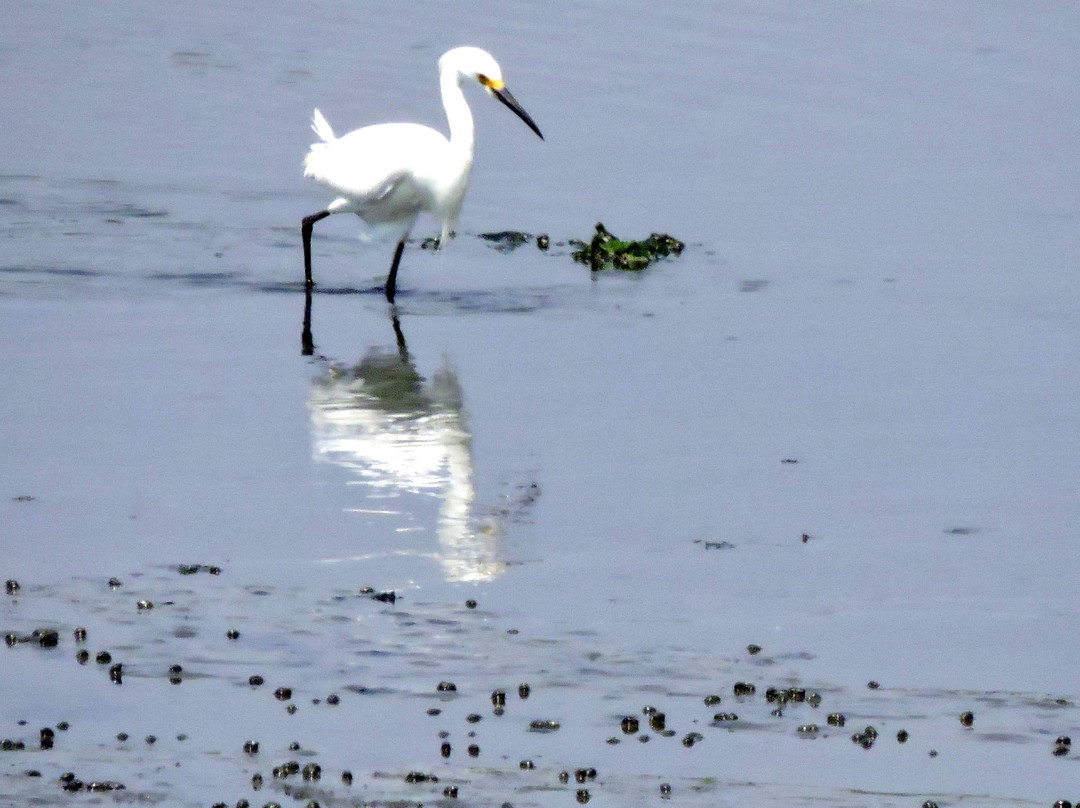 The Coastal Center at Milford Point-米尔福德必去景点