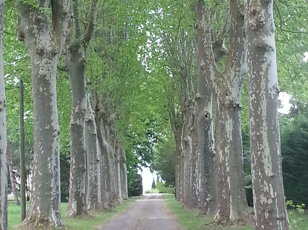 Chateau Marith主图