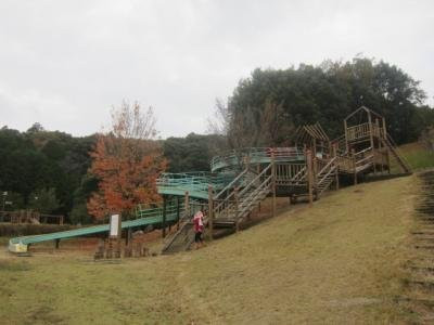 Nodagawa Forest Park景点图片