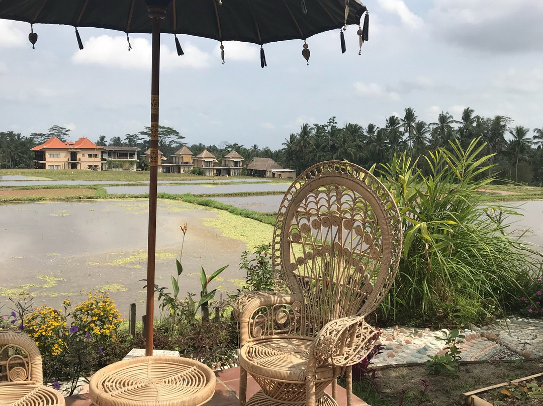 Ubud Float Garden sensory deprivation center景点图片