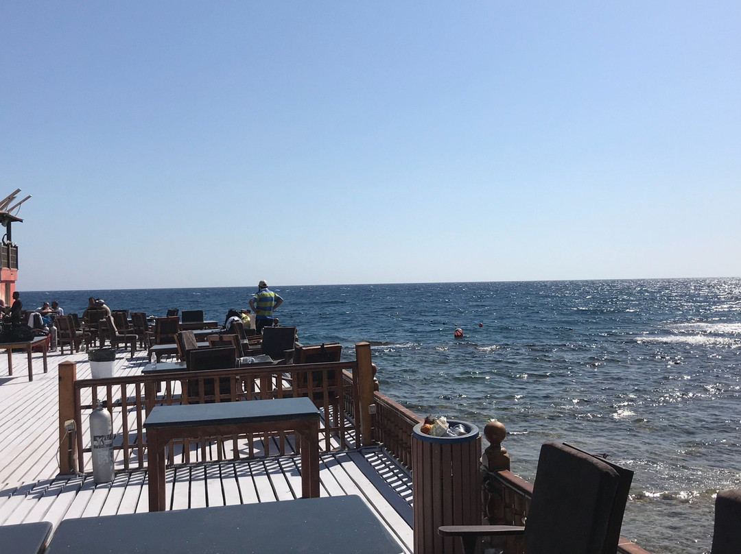 Al-Haddad Scuba-吉达必去景点