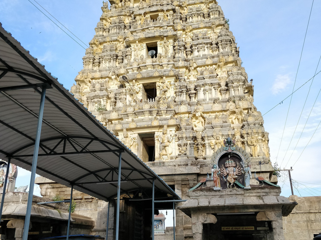 Sri Vadaranyeswarar Temple景点图片