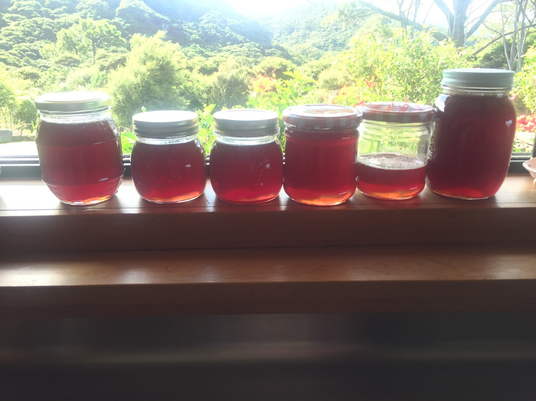 Trillium Lodge主图