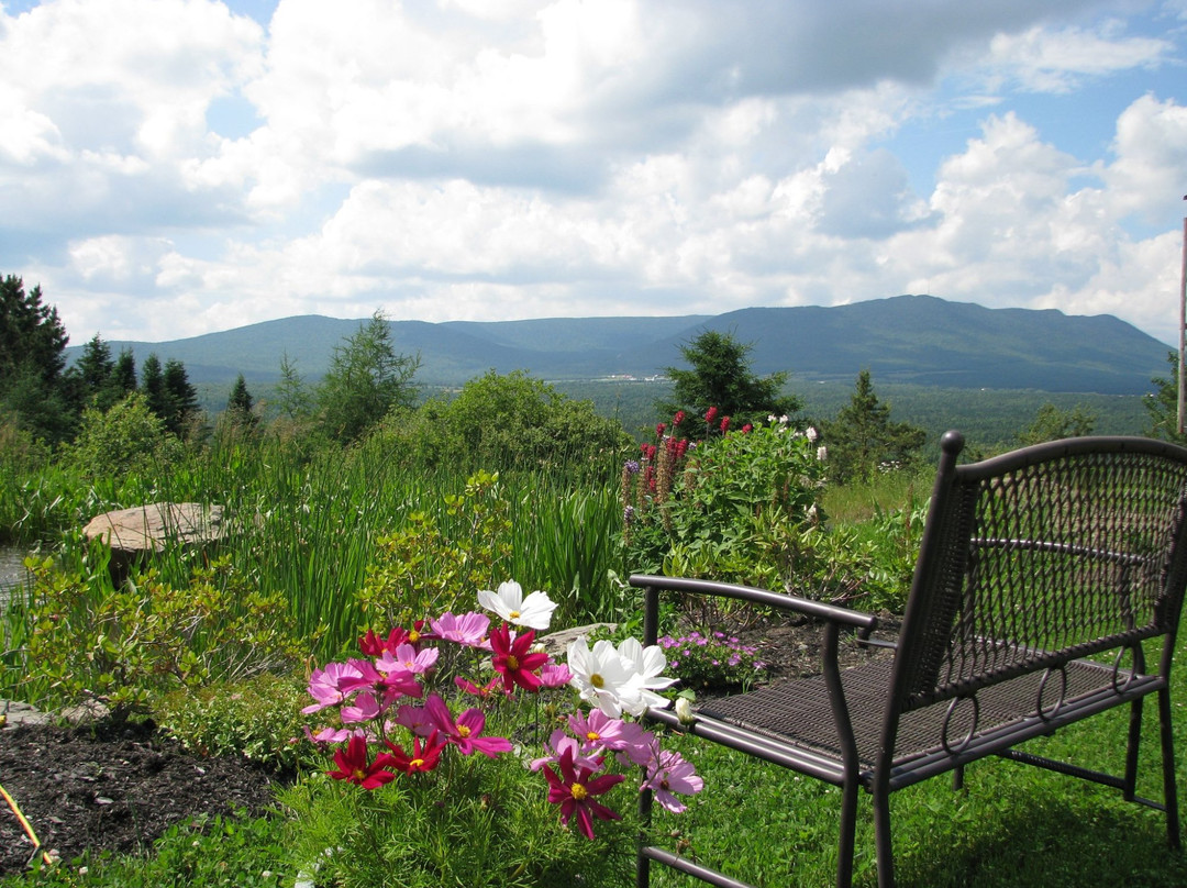 Au Vaillantbourg, Gîte gourmand主图